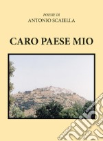 Caro paese mio libro