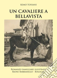 Un cavaliere a Bellavista libro