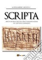 Scripta. Aspetti tecnico-esecutivi delle iscrizioni murali del santuario garganico libro