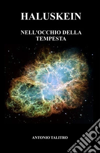 Haluskein. Nell'occhio della tempesta libro