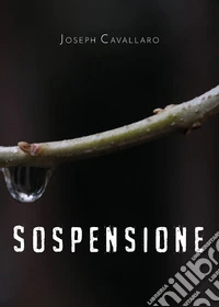 Sospensione