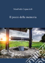 Il pozzo della memoria libro