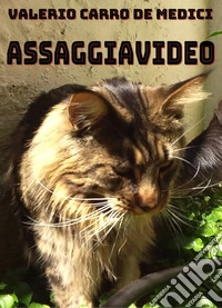 Assaggiavideo libro
