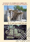 Edifici in cemento armato (Conoscere il passato per comprendere il presente) libro
