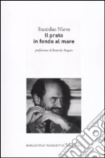 Il Prato in fondo al mare libro