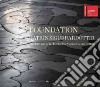 Foundation. Katrín Sigurdardóttir. The pavilion of Iceland at the Venice Biennale 2013. Ediz. a colori libro