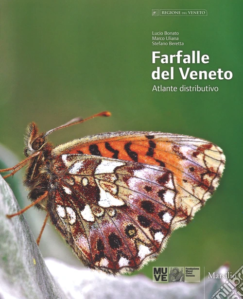 Farfalle del Veneto. Atlante distributivo. Ediz. italiana e inglese