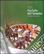 Farfalle del Veneto. Atlante distributivo. Ediz. italiana e inglese libro