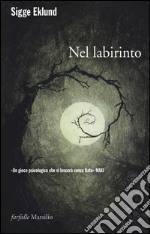 Nel labirinto libro