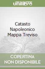 Catasto Napoleonico Mappa Treviso libro
