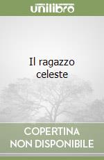 Il ragazzo celeste libro