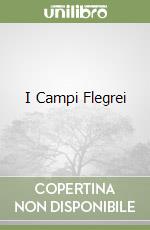 I Campi Flegrei libro