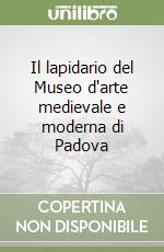 Il lapidario del Museo d'arte medievale e moderna di Padova libro