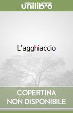 L'agghiaccio libro