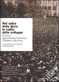 Nel solco della terra le radici dello sviluppo. Il sistema agro-zootecnico-alimentare a Mantova. 1860-2000 libro