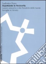 Aspettando la flexicurity. Il lavoro precario e vita flessibile delle nuove famigle in Veneto libro