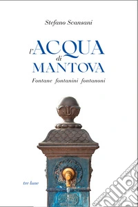 L'acqua di Mantova. Fontane fontanini fontanoni libro