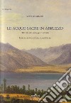 Le acque sacre in Abruzzo. Dal culto allo sviluppo territoriale libro