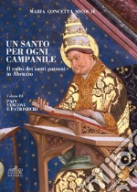 Un santo per ogni campanile. Il culto dei santi patroni in Abruzzo. Vol. 3: Papi, vescovi e patriarchi libro