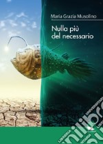 Nulla più del necessario