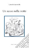 Un sasso nella notte libro