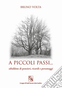 A piccoli passi.... Zibaldone di pensieri, ricordi e personaggi libro