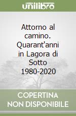 Attorno al camino. Quarant'anni in Lagora di Sotto 1980-2020 libro