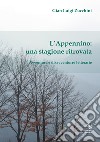 L'Appennino: una stagione ritrovata. Avventure e disavventure letterarie libro