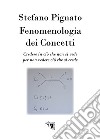 Fenomenologia dei concetti. Credere in ciò che non si vede per non vedere ciò che si crede libro