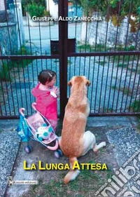 La lunga attesa