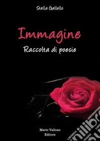 Immagine libro