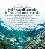 Nel regno di Leucosia. Una guida all'acquario virtuale dell'area marina protetta di Santa Maria di Castellabate. Ediz. italiana e inglese