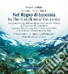 Nel regno di Leucosia. Una guida all'acquario virtuale dell'area marina protetta di Santa Maria di Castellabate. Ediz. italiana e inglese libro