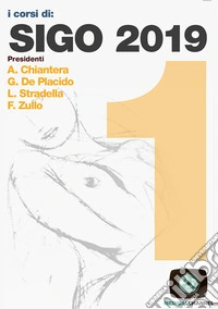 SIGO 2019. Vol. 1