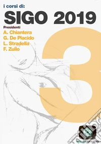 SIGO 2019. Vol. 3