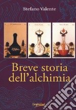 Breve storia dell'alchimia. Dagli albori del pensiero junghiano: una sintesi storica libro