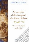 La sacralità delle immagini di Marco Salerni. Per una teologia della luce. Il ciclo ad encausto di Vico Alto a Siena libro