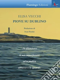 Piove su Dublino