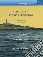 Piove su Dublino libro