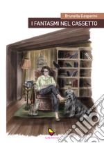 I fantasmi nel cassetto libro