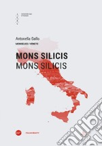 Mons Silicis-Mons Silicis. Ediz. italiana e inglese libro