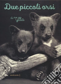Due piccoli orsi