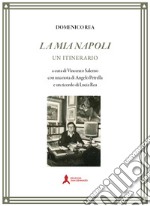 la mia Napoli. Un itinerario libro