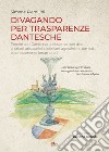 Divagando per trasparenze dantesche libro