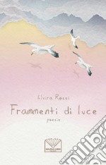 Frammenti di luce libro