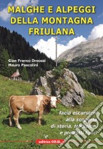 Malghe e alpeggi della montagna friulana. Facili escursioni alla scoperta di storia, tradizioni e prodotti tipici