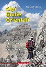 Alpi Giulie Orientali. Sentieri e vie ferrate nelle Alpi del Triglav libro