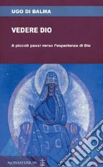 Vedere Dio. A piccoli passi verso l'esperienza di Dio libro