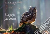 Un gufo per amico libro