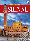 Sienne. Ville du Palio libro